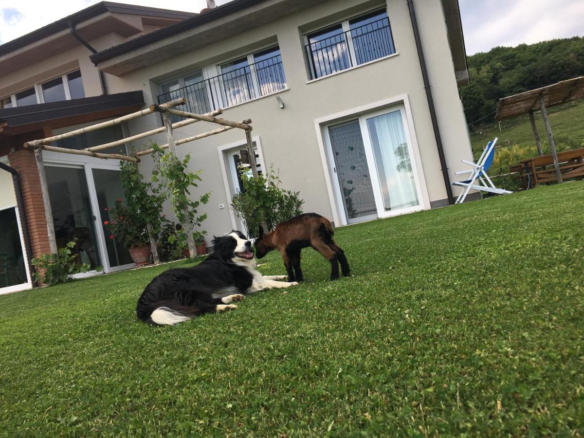 Agriturismo Fattoria Monte Baldo Vista Lago 카프리노 베로네세 외부 사진