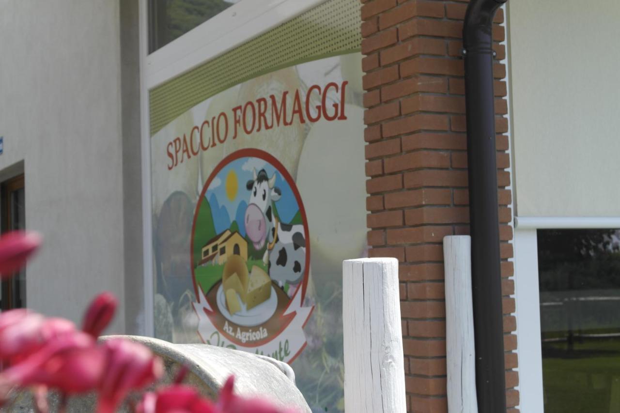 Agriturismo Fattoria Monte Baldo Vista Lago 카프리노 베로네세 외부 사진