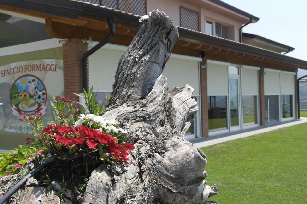 Agriturismo Fattoria Monte Baldo Vista Lago 카프리노 베로네세 외부 사진