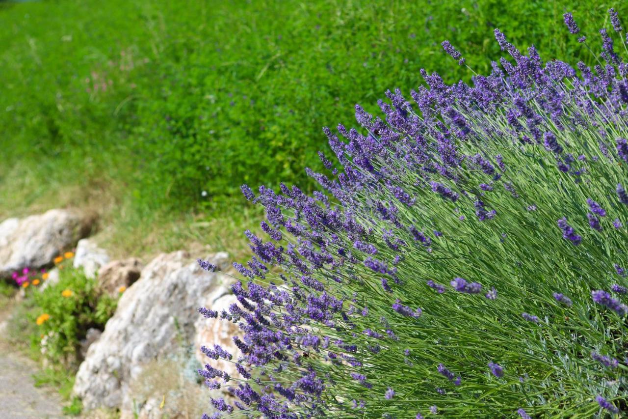 Agriturismo Fattoria Monte Baldo Vista Lago 카프리노 베로네세 외부 사진